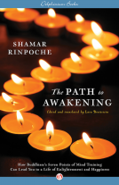 book cover for The Path to Awakening