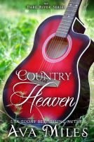 book cover for Country Heaven