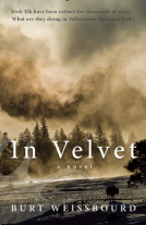 book cover for In Velvet