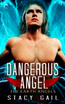 book cover for Dangerous Angel