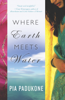 book cover for Where Earth Meets Water
