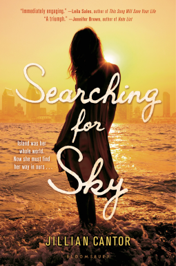 book cover for Searching for Sky