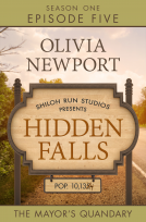 book cover for Hidden Falls: The Mayor's Quandary - Episode 5