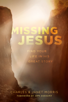 book cover for Missing Jesus