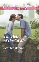 book cover for The Heir of the Castle