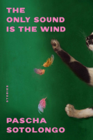 book cover for The Only Sound Is the Wind