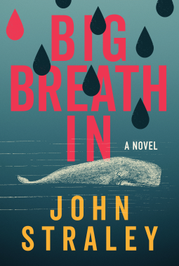 book cover for Big Breath In