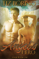 book cover for Angel's Hero