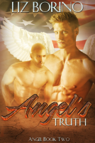 book cover for Angel's Truth