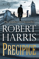 book cover for Precipice