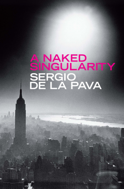book cover for A Naked Singularity