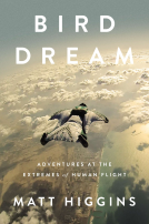 book cover for Bird Dream