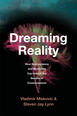 book cover for Dreaming Reality