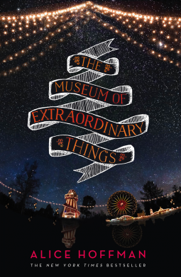 book cover for The Museum of Extraordinary Things
