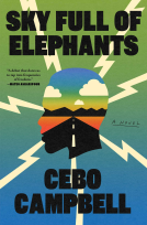 book cover for Sky Full of Elephants