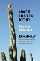 book cover for A Race to the Bottom of Crazy