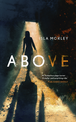 book cover for Above