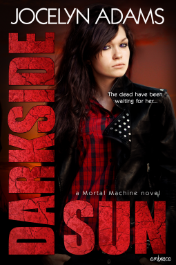 book cover for Darkside Sun