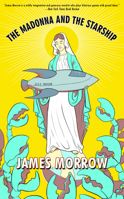 book cover for The Madonna and the Starship