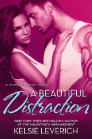 book cover for A Beautiful Distraction