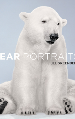 book cover for Bear Portraits