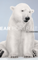 book cover for Bear Portraits
