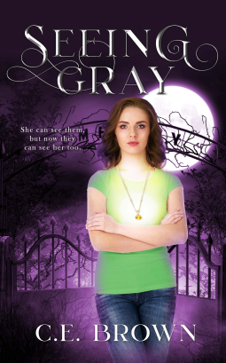 book cover for Seeing Gray