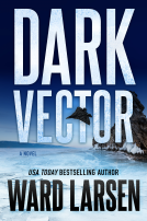 book cover for Dark Vector