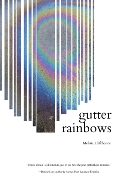 book cover for gutter rainbows