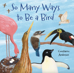 book cover for So Many Ways to Be a Bird