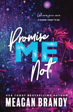 book cover for Promise Me Not