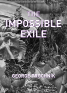book cover for The Impossible Exile