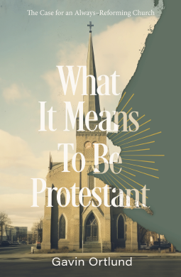 book cover for What It Means to Be Protestant