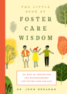 book cover for The Little Book of Foster Care Wisdom