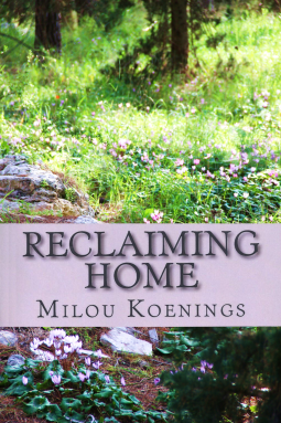 book cover for Reclaiming Home