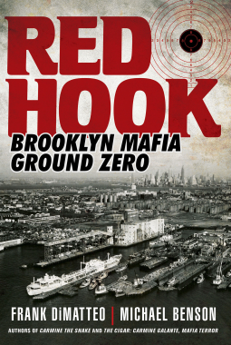 book cover for Red Hook