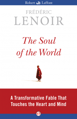 book cover for The Soul of the World
