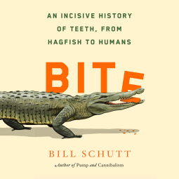 book cover for Bite