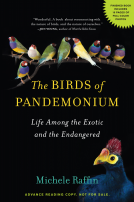 book cover for The Birds of Pandemonium