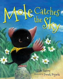 book cover for Mole Catches the Sky