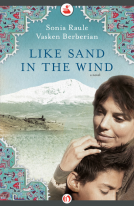 book cover for Like Sand in the Wind