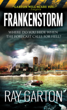 book cover for Frankenstorm