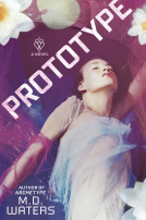 book cover for Prototype