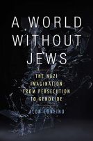 book cover for A World Without Jews