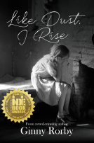 book cover for Like Dust, I Rise