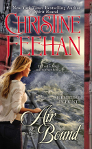 book cover for Air Bound