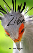 book cover for Ziba