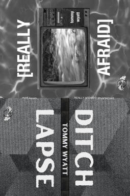 book cover for DITCHLAPSE / [REALLY AFRAID]
