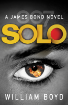 book cover for Solo