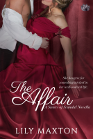 book cover for The Affair